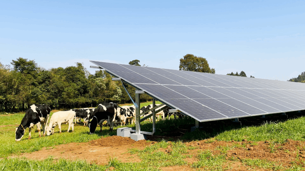 Energia solar rural: como produtores estão reduzindo custos e ...